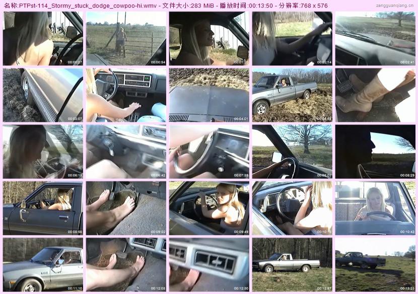 ptpst-114_Stormy_stuck_dodge_cowpoo